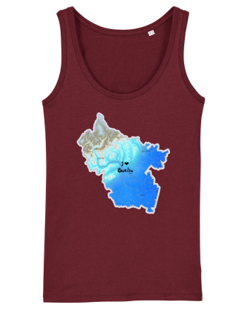 Buzău County Map Burgundy
