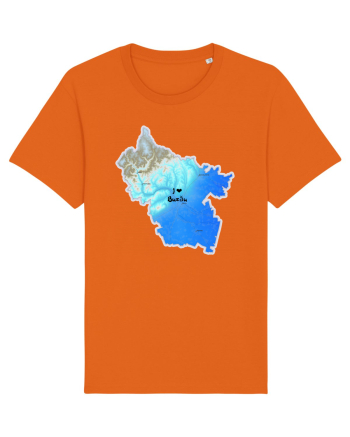 Buzău County Map Bright Orange