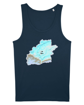Sibiu County Map Navy