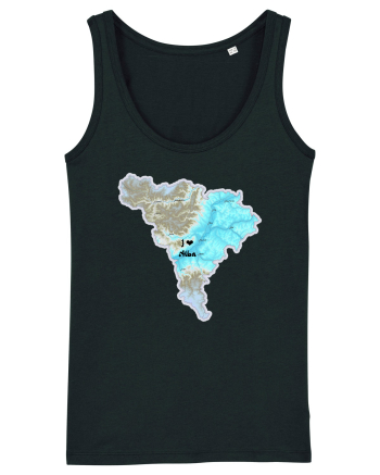 Alba County Map Black