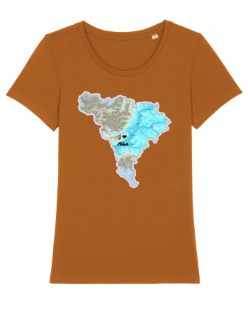 Alba County Map Roasted Orange