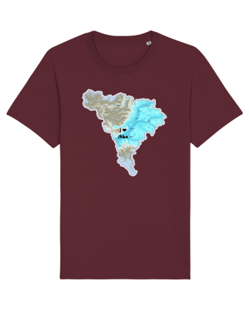 Alba County Map Burgundy