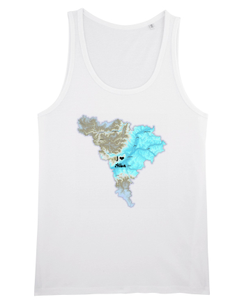 Alba County Map White