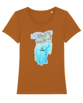 Vâlcea County Map Roasted Orange