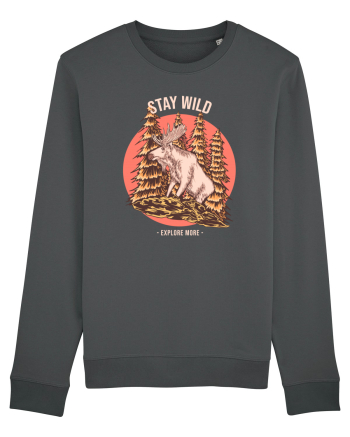 Stay Wild Explore More Anthracite