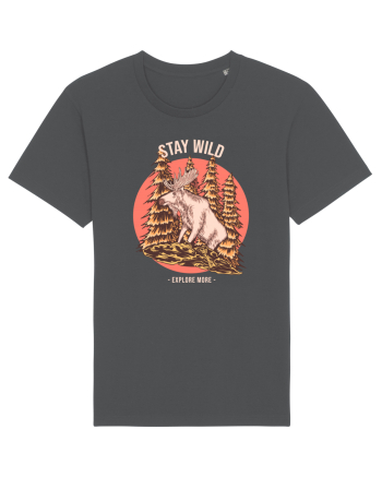 Stay Wild Explore More Anthracite