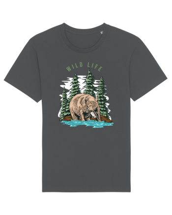 Wild Life Anthracite
