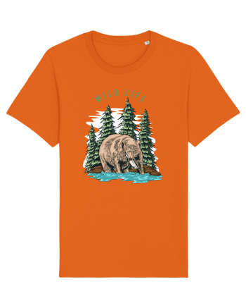 Wild Life Bright Orange