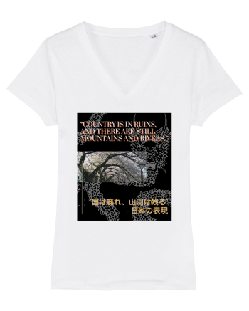 Country Is In Ruins And There Are Still Mountains And Rivers White