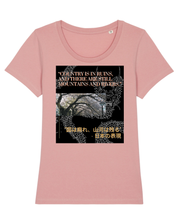 Country Is In Ruins And There Are Still Mountains And Rivers Canyon Pink