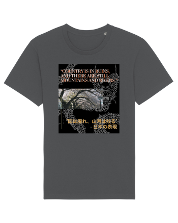 Country Is In Ruins And There Are Still Mountains And Rivers Anthracite