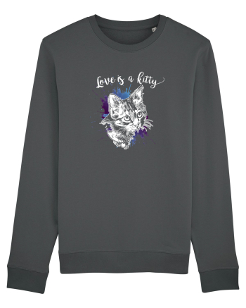 Love is a kitty Anthracite