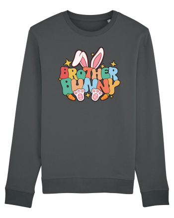 de Paște - Brother bunny Anthracite