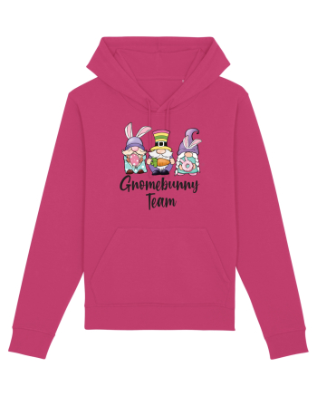 de Paște - Gnomebunny team Raspberry