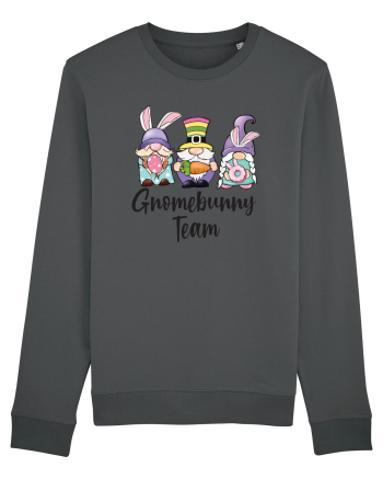 de Paște - Gnomebunny team Anthracite