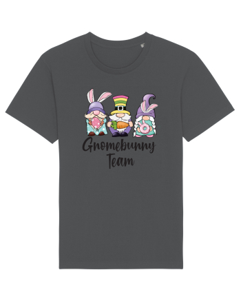 de Paște - Gnomebunny team Anthracite