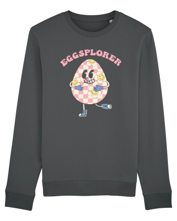 de Paște - Eggsplorer Anthracite