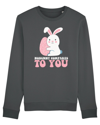 de Paște - Nobunny compares to you Anthracite