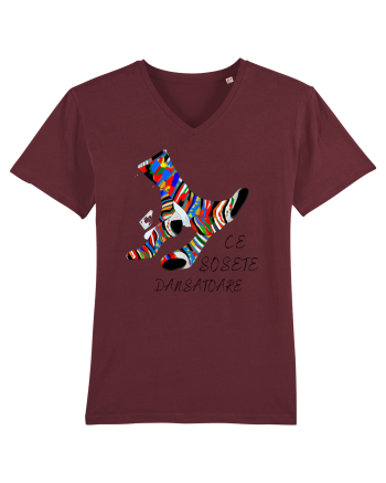 ȘOSETE DANSATOARE Burgundy