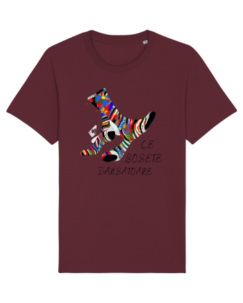 ȘOSETE DANSATOARE Burgundy