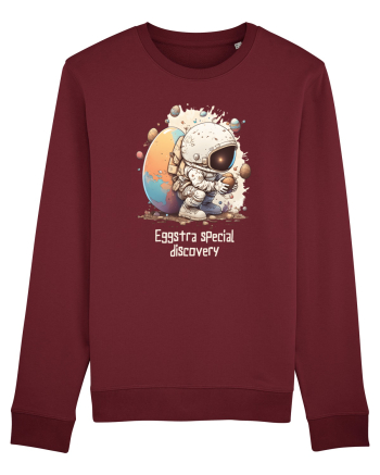 Space Easter - Eggstra special discovery Burgundy