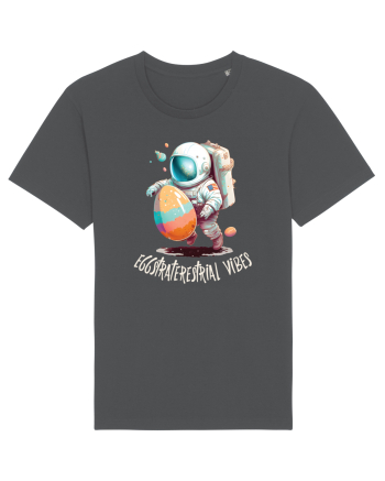 Space Easter - Eggstraterestrial vibes Anthracite