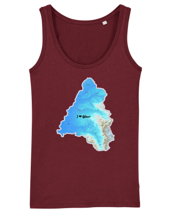 Bihor County Map Burgundy