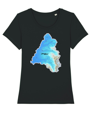 Bihor County Map Black