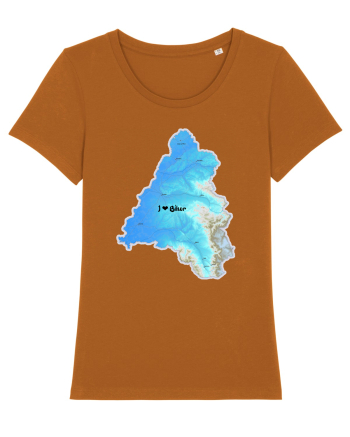 Bihor County Map Roasted Orange