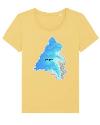 Bihor County Map Jojoba
