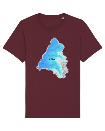Bihor County Map Burgundy