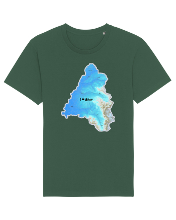 Bihor County Map Bottle Green