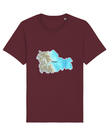 Neamț County Map Burgundy