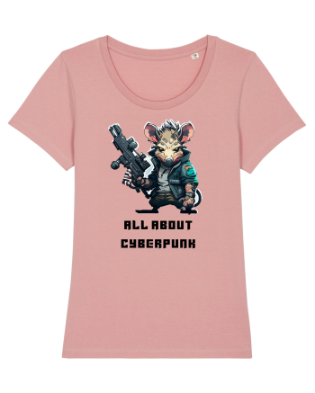 ALL ABOUT CYBERPUNK - V1 Canyon Pink