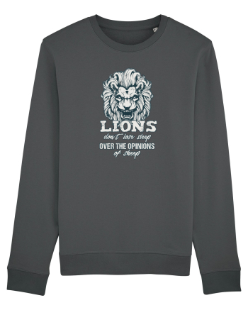 LIONS Anthracite