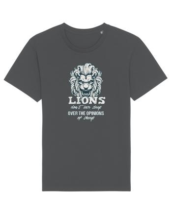 LIONS Anthracite
