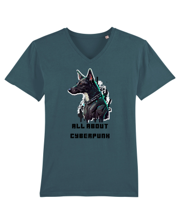 ALL ABOUT CYBERPUNK - V5 Stargazer