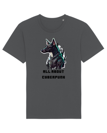 ALL ABOUT CYBERPUNK - V5 Anthracite