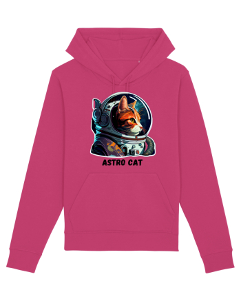 ASTRO CAT - V1 Raspberry