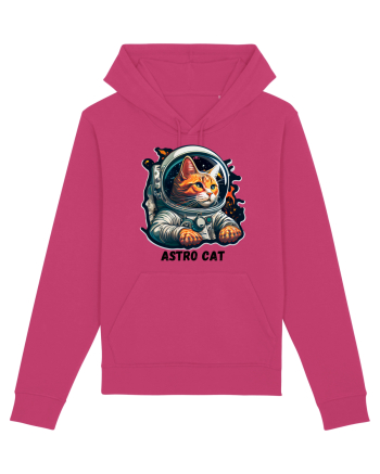 ASTRO CAT - V2 Raspberry
