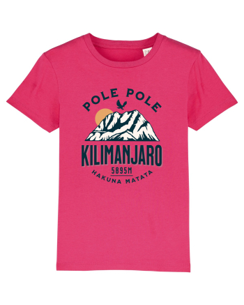 Kilimanjaro - Pole pole - Hakuna matata Raspberry