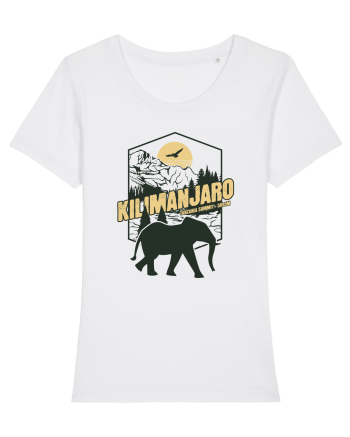 Kilimanjaro - Tanzania summit - Elephant White