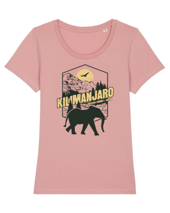 Kilimanjaro - Tanzania summit - Elephant Canyon Pink