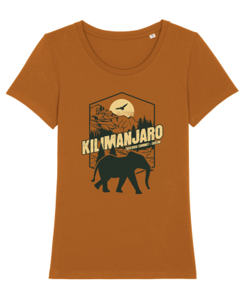 Kilimanjaro - Tanzania summit - Elephant Roasted Orange