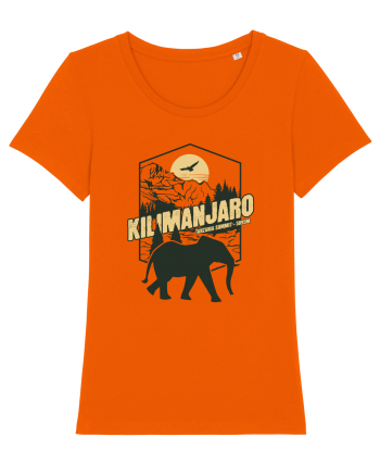 Kilimanjaro - Tanzania summit - Elephant Bright Orange