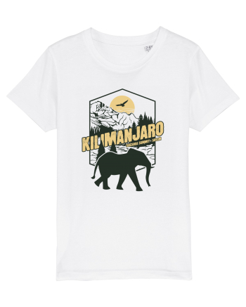 Kilimanjaro - Tanzania summit - Elephant White