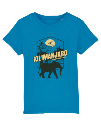 Kilimanjaro - Tanzania summit - Elephant Azur