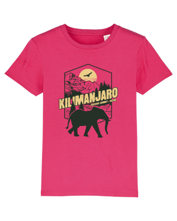 Kilimanjaro - Tanzania summit - Elephant Raspberry