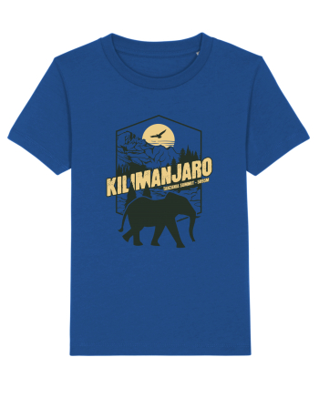 Kilimanjaro - Tanzania summit - Elephant Majorelle Blue