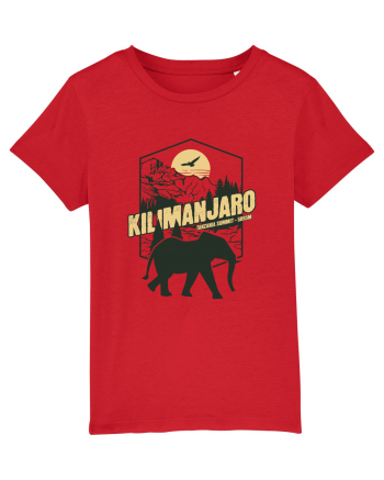 Kilimanjaro - Tanzania summit - Elephant Red
